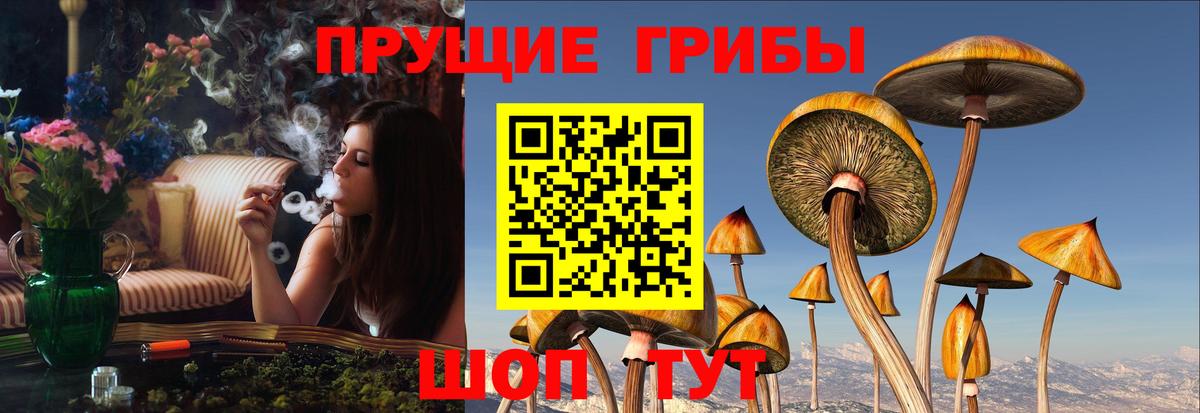 Златоуст  Псилоцибиновые грибы GOLDEN TEACHER  Вход с VPN 